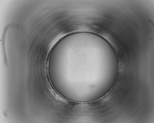 X0000102311094200808011557