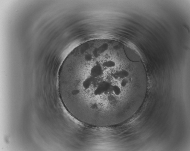 X0000102311095200808011557