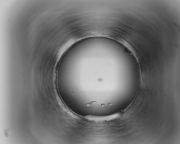 X0000102311096200808011557