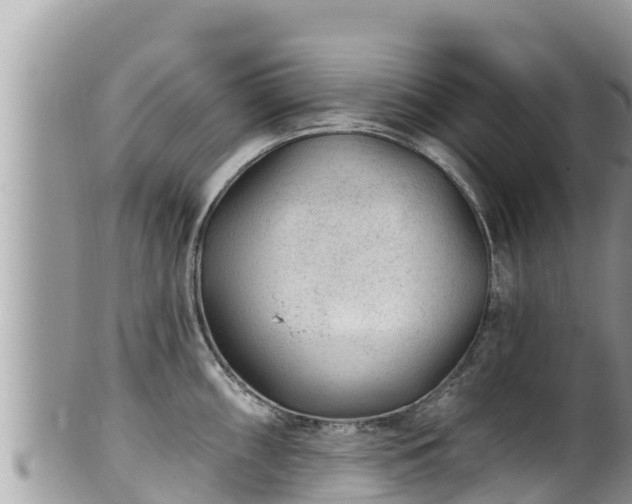 X0000102311098200808011557