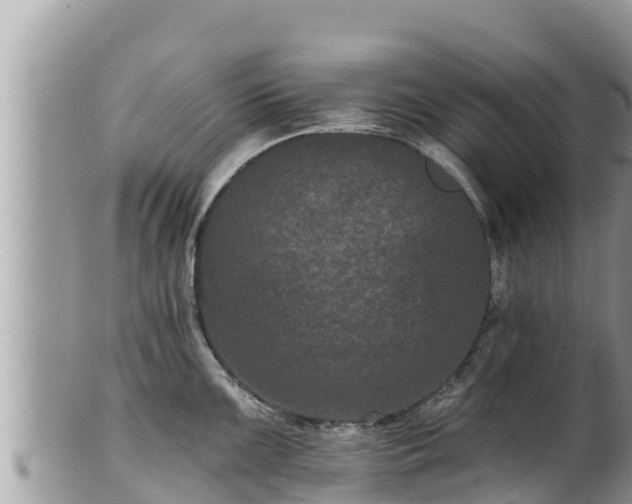 X0000102311099200808011557