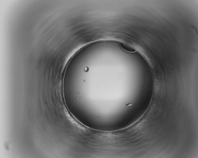 X0000102311100200808011557