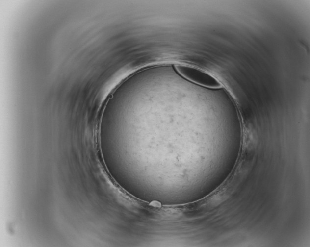 X0000102311101200808011557