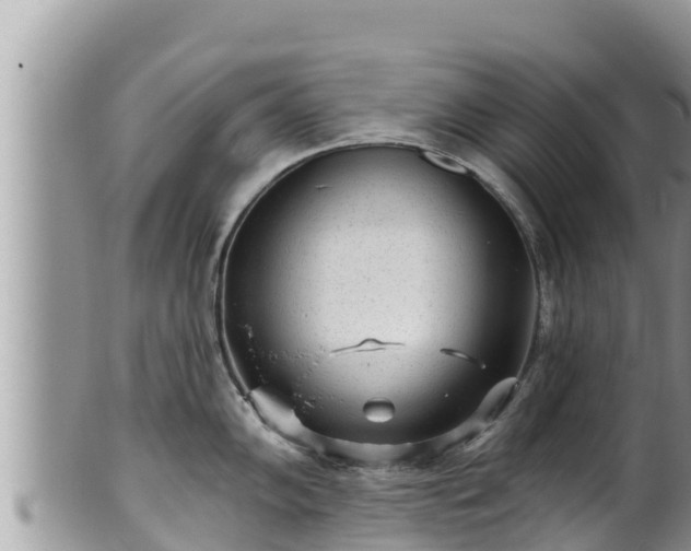 X0000102311102200808011557