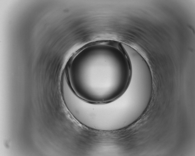 X0000102311104200808011557