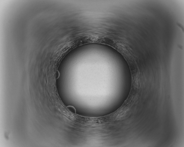 X0000102311105200808011556