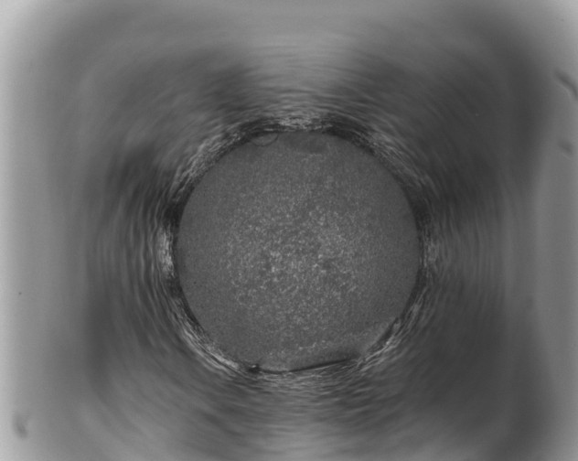 X0000102311106200808011556