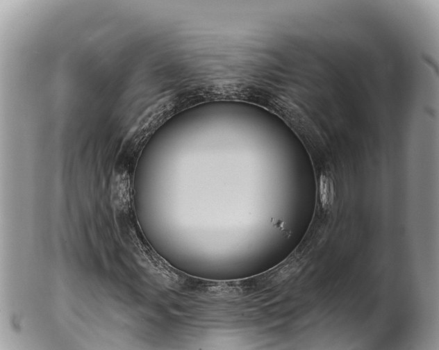 X0000102311107200808011556