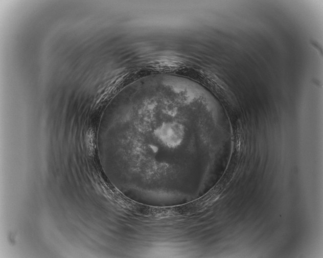 X0000102311108200808011556