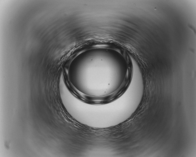 X0000102311110200808011556