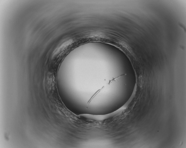 X0000102311111200808011556