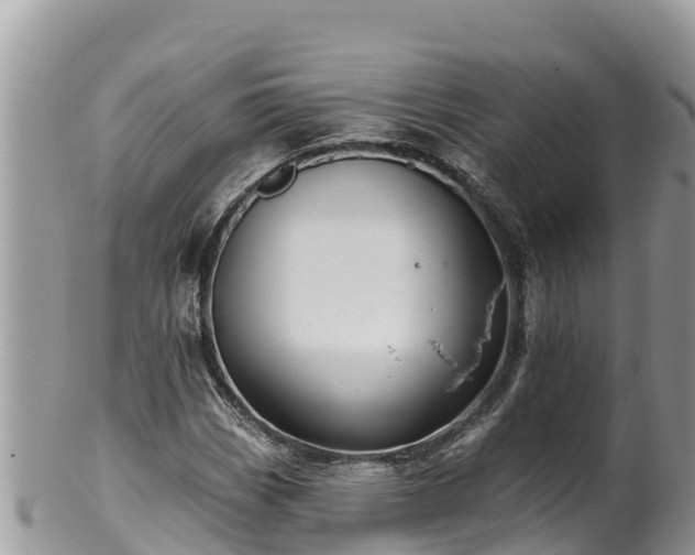 X0000102311113200808011556