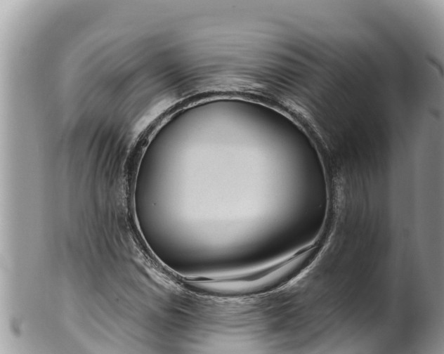 X0000102311114200808011556