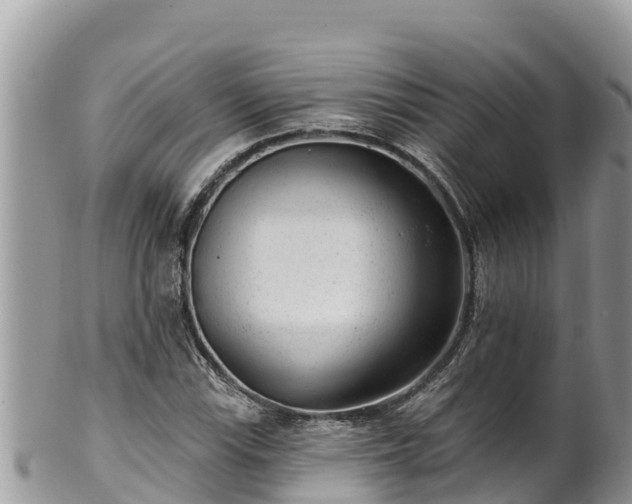 X0000102311115200808011556