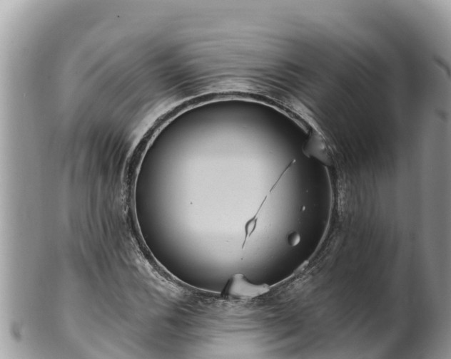 X0000102311116200808011556