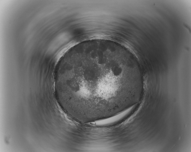 X0000102311117200808011556