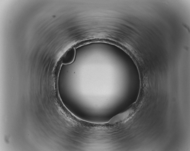 X0000102311118200808011556