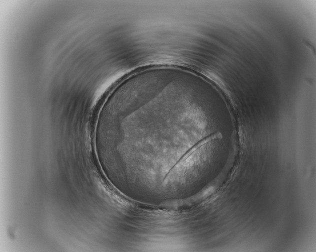 X0000102311120200808011556