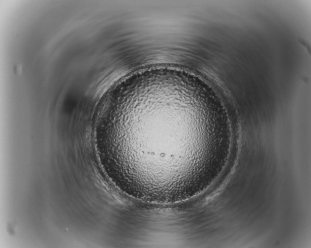 X0000102311121200808011556