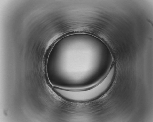 X0000102311122200808011556