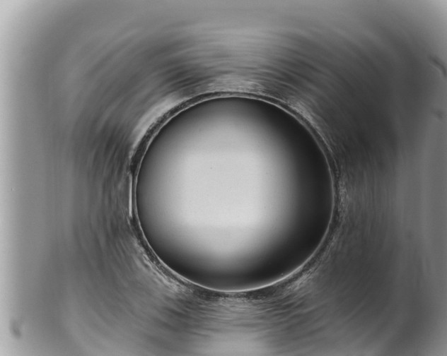 X0000102311123200808011556