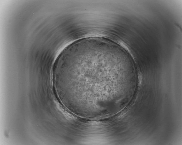 X0000102311124200808011556