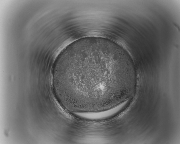 X0000102311125200808011556