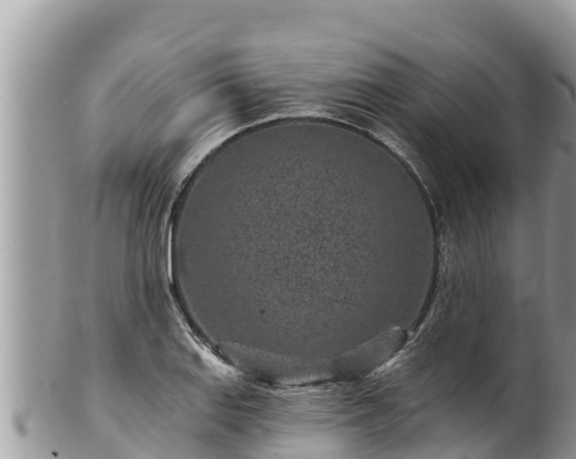 X0000102311127200808011556