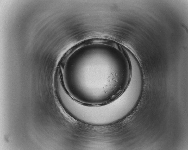 X0000102311128200808011556