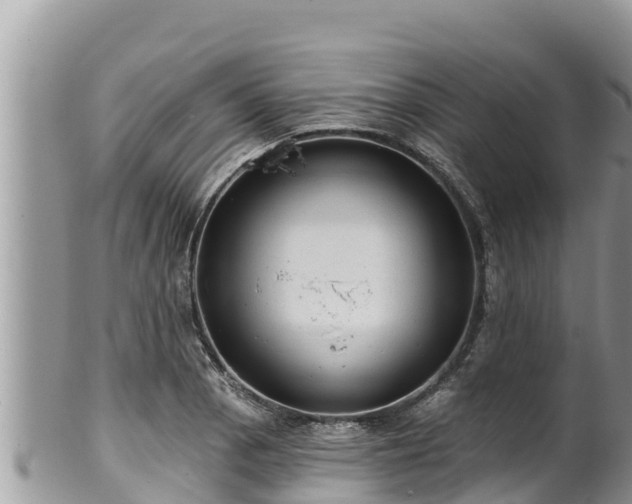 X0000102311129200808011556