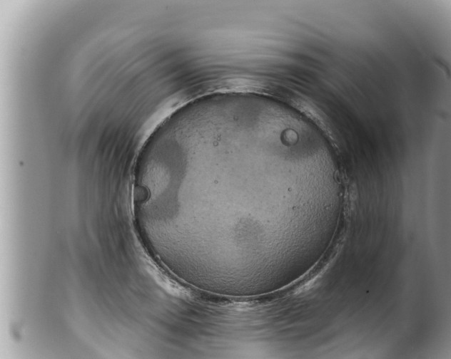 X0000102311130200808011556