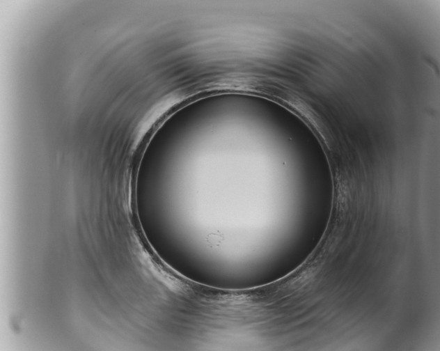 X0000102311131200808011556