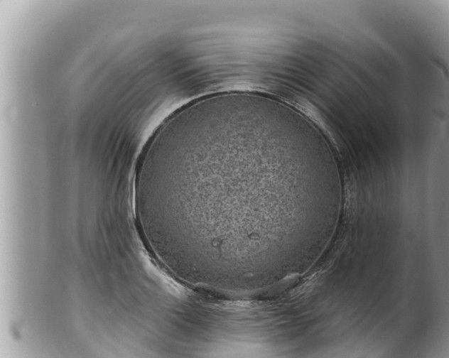 X0000102311132200808011556