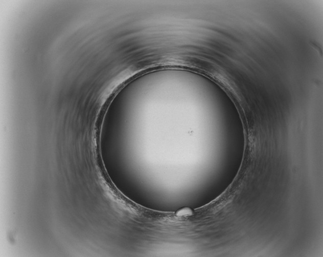 X0000102311133200808011556