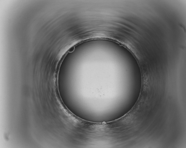 X0000102311134200808011556