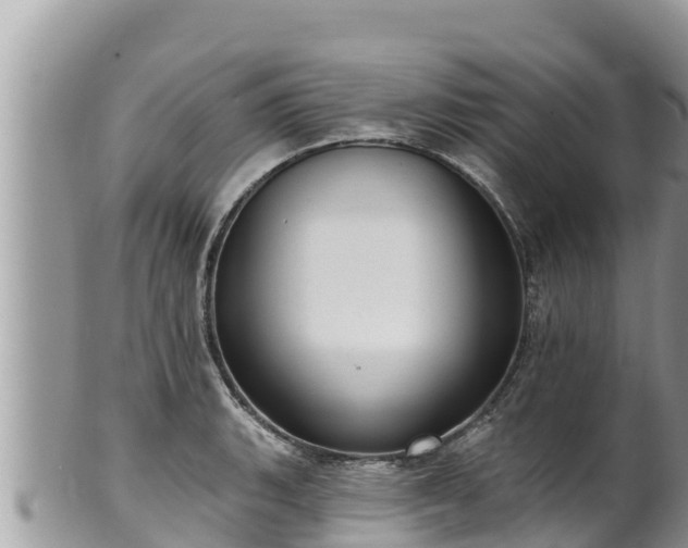 X0000102311135200808011556