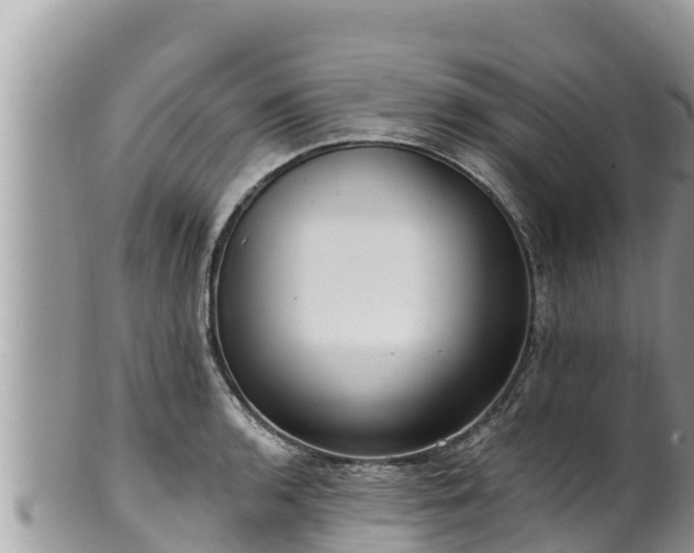 X0000102311136200808011556