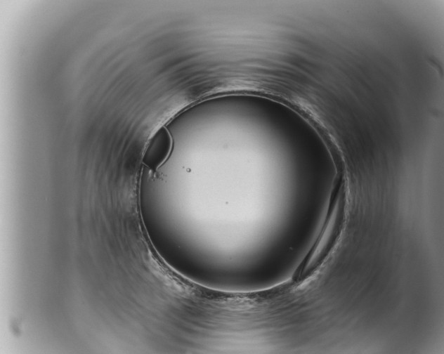 X0000102311137200808011556