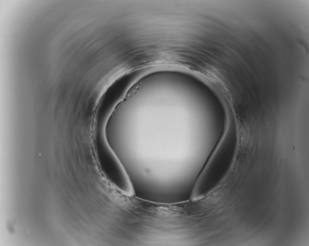 X0000102311138200808011556