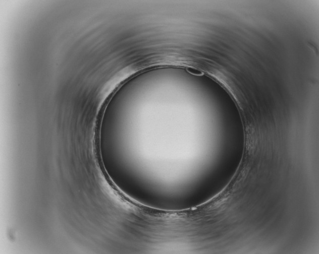 X0000102311139200808011556