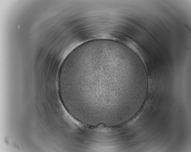 X0000102311141200808011556