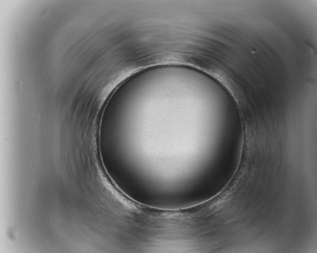 X0000102311142200808011556