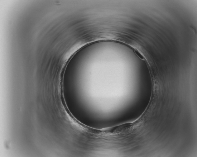 X0000102311143200808011556