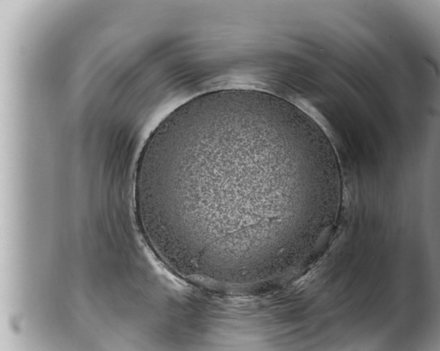 X0000102311144200808011556