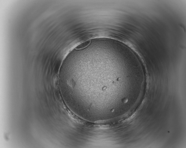 X0000102311145200808011556