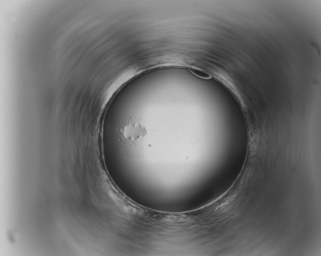 X0000102311146200808011556