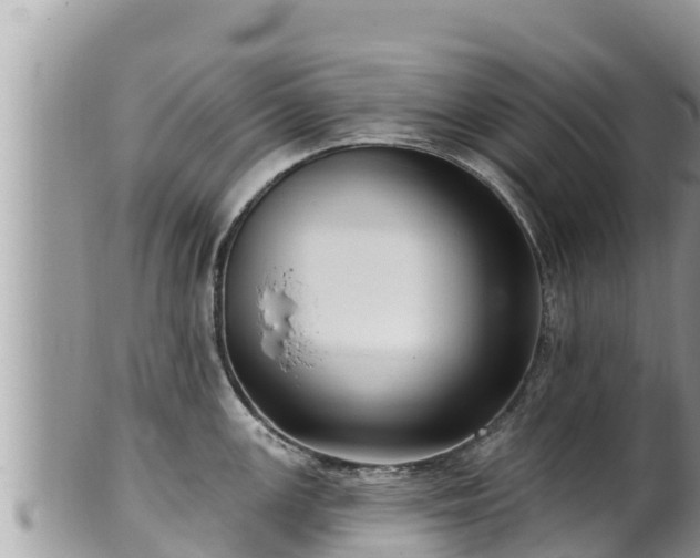 X0000102311147200808011556