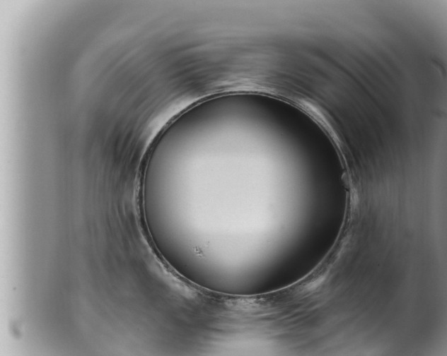 X0000102311149200808011556