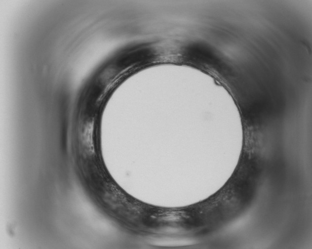 X0000102311150200808011557