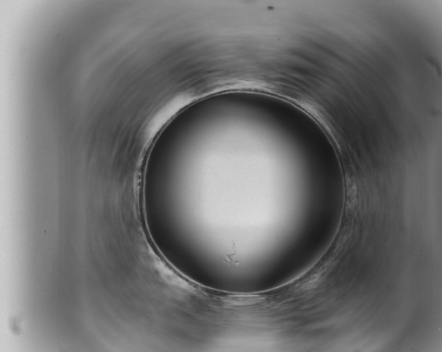 X0000102311151200808011557